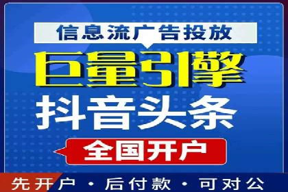 竞价广告在XX行业的成功应用案例
